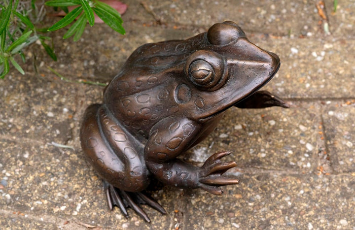 Bronze Frog Sculpture Frog Lovers Gift Frog Art Frog Decoration Garden Sculpture Outdoor Sculpture Home Deco Art Animal Statue Frog Statue