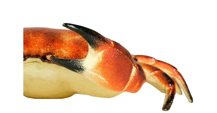 Vintage Cast Iron Crab Box Crab Figurine Animal Statue Vide Poche Crab Art Collectable