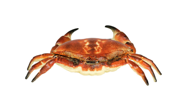 Vintage Cast Iron Crab Box Crab Figurine Animal Statue Vide Poche Crab Art Collectable