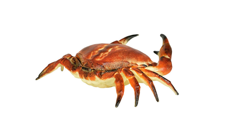 Vintage Cast Iron Crab Box Crab Figurine Animal Statue Vide Poche Crab Art Collectable