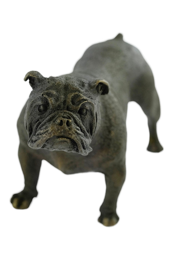 Bronze English Bulldog Sculpture Bergman Bronzes Standing English Bulldog Statue Animal Art Figurine Dog Lovers Gift Dog Decoration Dog Art
