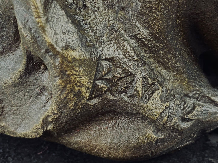 Bronze Wolf Head Statue Bronze Wildlife Sculpture Bronze Wolfs Head Sculpture Hunting Decoration Wolf Lovers Gift Wolf Art Animal Art Statue