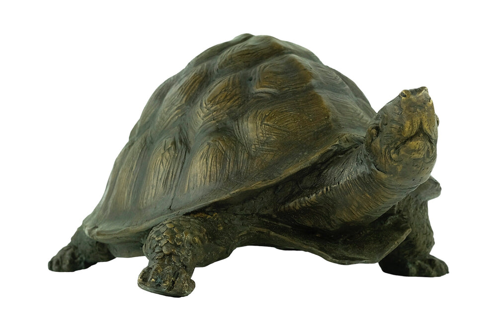 Bronze Tortoise Sculpture Animal Art Statue Reptile Sculpture Bronze Tortoise Statue Wildlife Sculpture Tortoise Lovers Gift Animal Deco