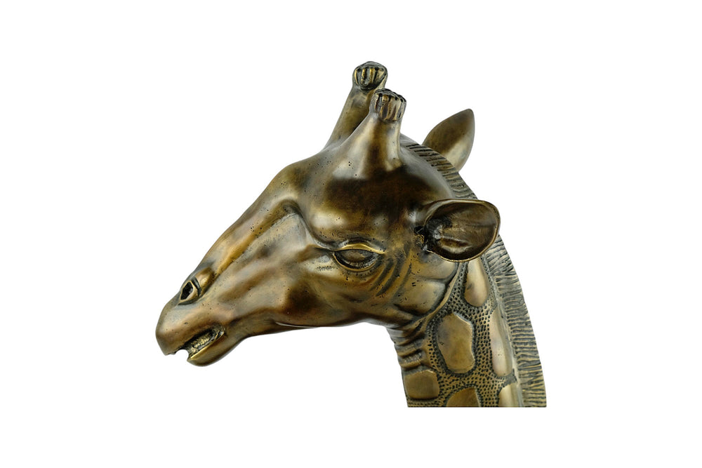 Luxurious Bronze Sculpture of a Giraffe Head on Mahogany Wooden Base Bronze Wildlife Statue Giraffe Sculpture Giraffe Lovers Gift Animal Art