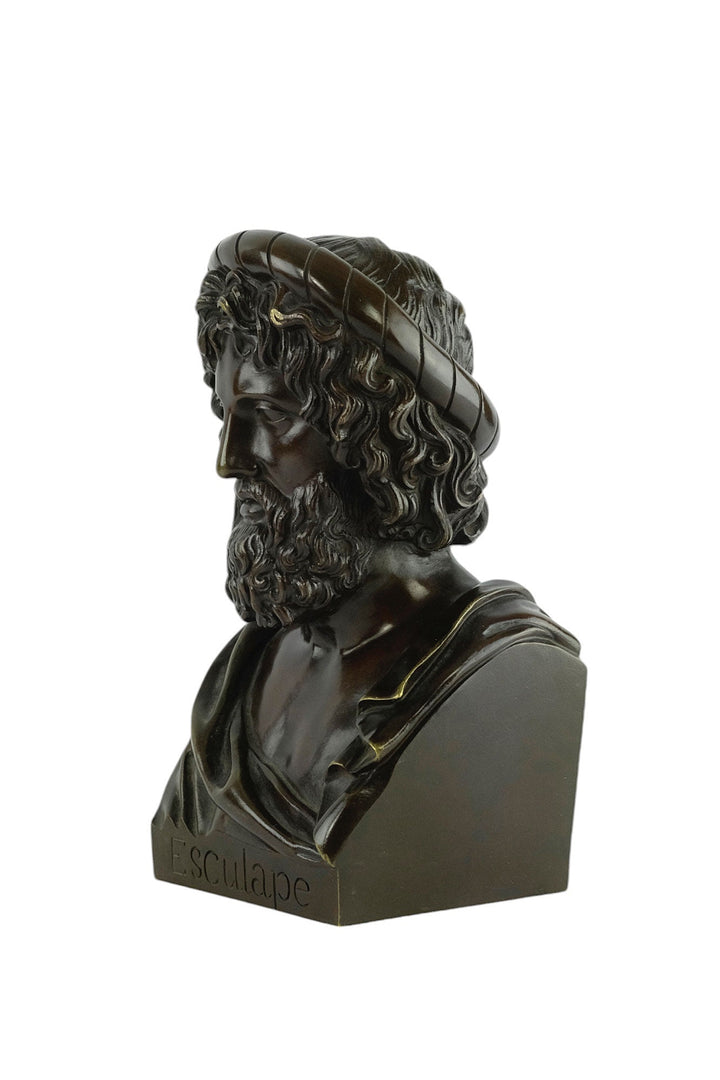 Antique Bronze Sculpture of the God of Medicine Named Asclepius in Greek Mythology Sculpture Bronze Bust of Asclepius French Antiques Art