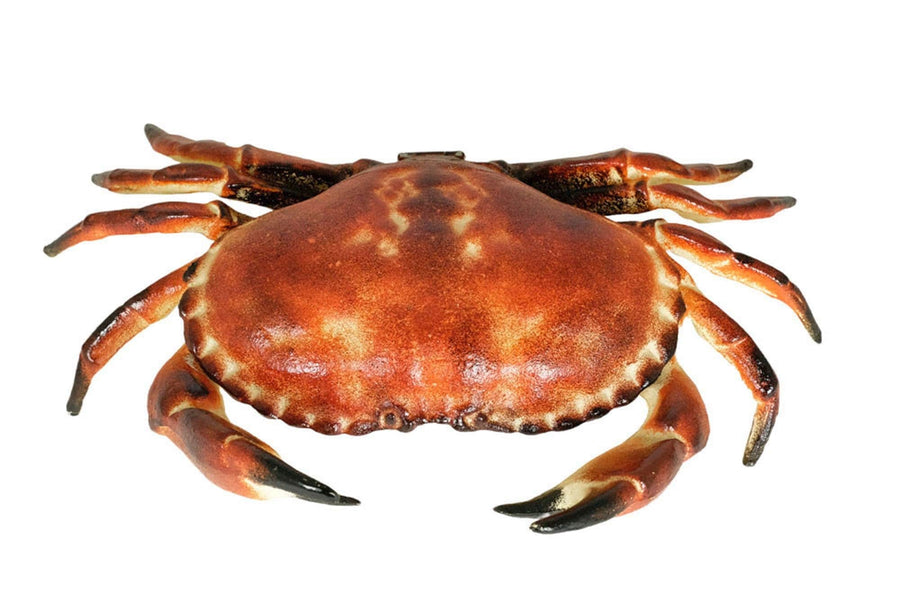Vintage Cast Iron Crab Box Crab Figurine Animal Statue Vide Poche Crab Art Collectable