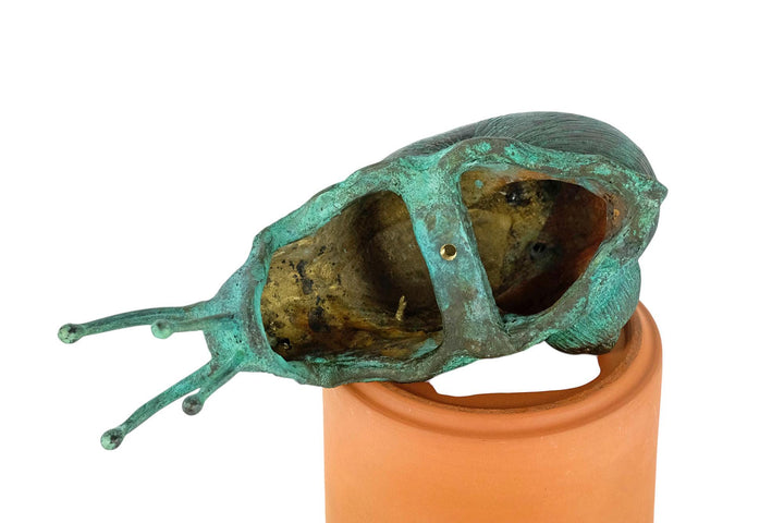 Outdoor Bronze Sculpture of a Snail Crawling over the Edge Garden Snail Decoration Snail Lovers Gift Bronze Snail Statue Outdoor Bronze Art