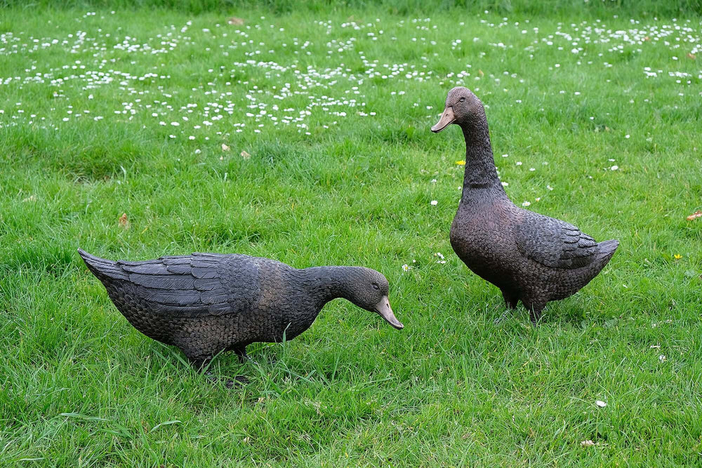 Large bronze duck sculptures on grass, perfect decorative pieces for garden settings, showcasing lifelike details.
