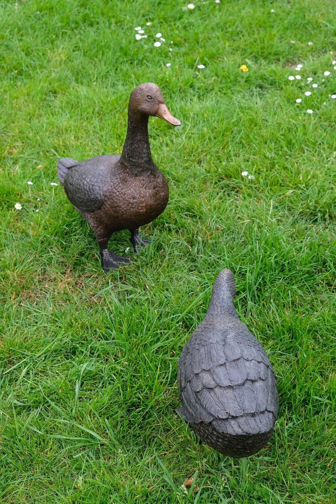 Large bronze duck sculpture pair on grass, perfect for garden decor, showcasing detailed craftsmanship and a calming presence.