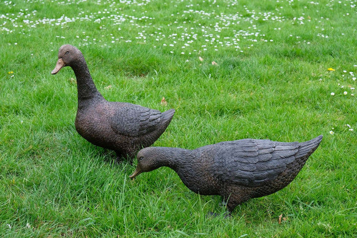 Charming large bronze duck sculpture pair outdoors on grass, showcasing lifelike detail and multi-toned patina.