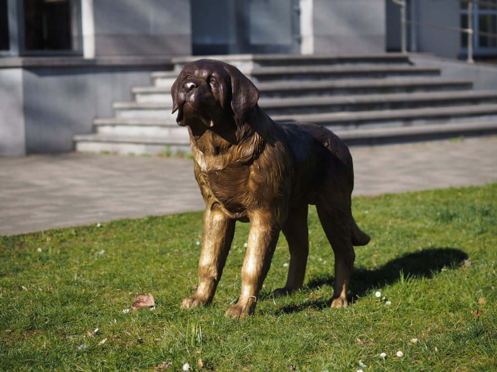 Lifesize bronze sculpture of a Saint Bernard dog on grass, showcasing intricate detailing and multi-colored patina.