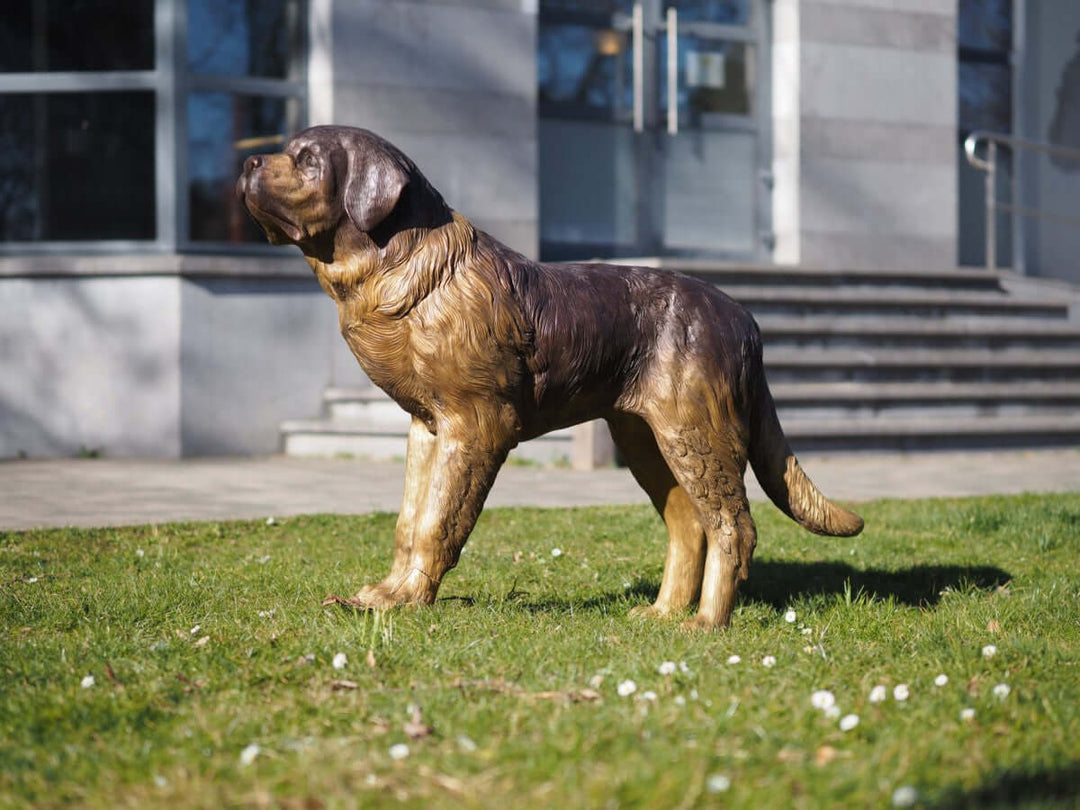 Lifesize bronze sculpture of a standing Saint Bernard dog with detailed multi-coloured patina, outdoors.