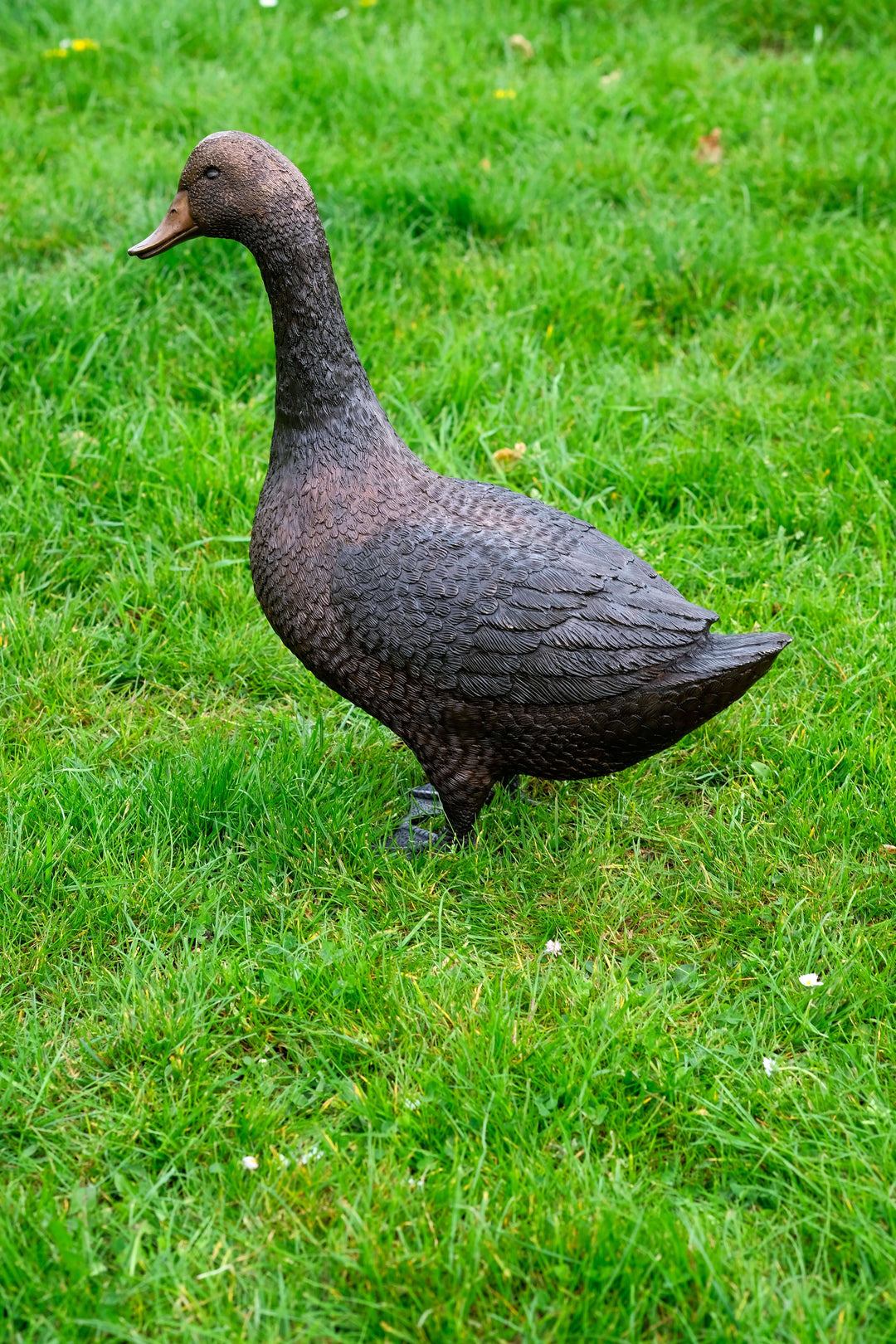 Lifesize bronze standing duck sculpture in natural pose, perfect for outdoor display, detailed and beautifully crafted.