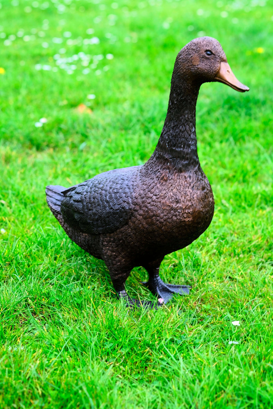 Lifesize bronze sculpture of a standing duck on green grass, showcasing realistic details, 48cm tall.