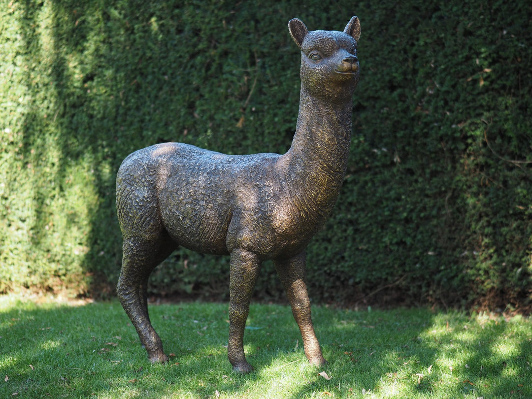 Lifesize bronze alpaca sculpture