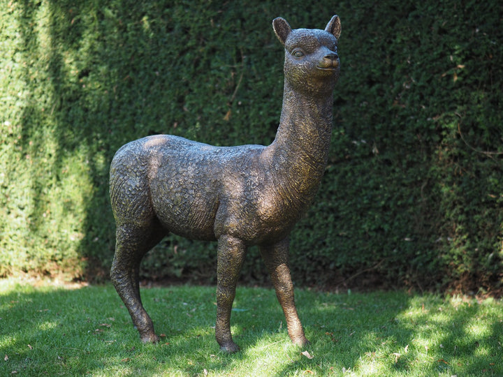 Lifesize bronze alpaca sculpture