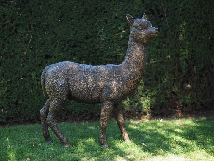 Lifesize bronze alpaca sculpture