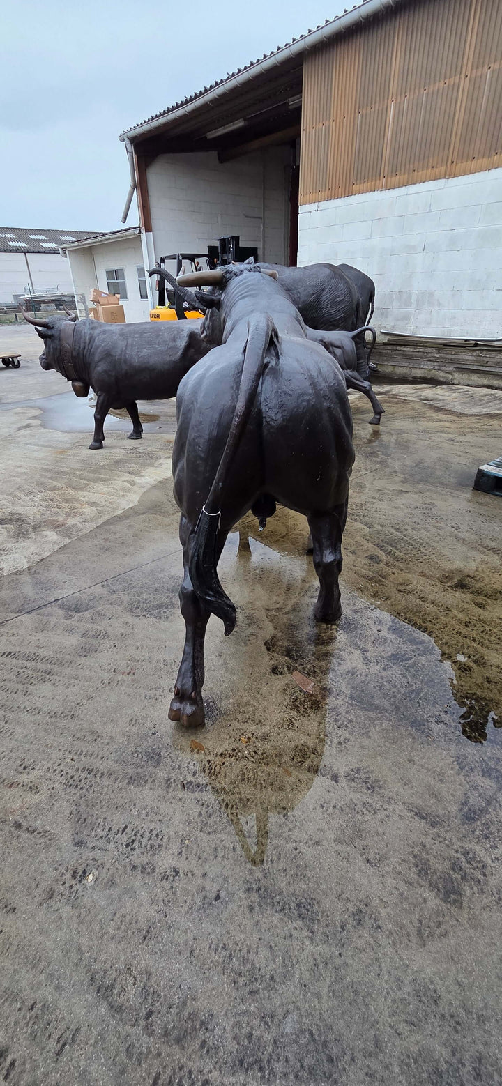 Lifesize bronze bull sculpture displayed outdoors, showcasing fine details and realistic design, perfect for decor.