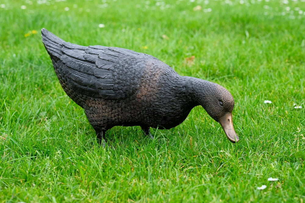 Lifelike large bronze sculpture of a foraging duck, perfect for outdoor garden display, beautifully detailed.