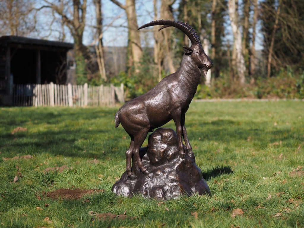 Lifesize bronze ibex sculpture standing on rock, showcasing detailed features and iconic curved horns in natural setting.