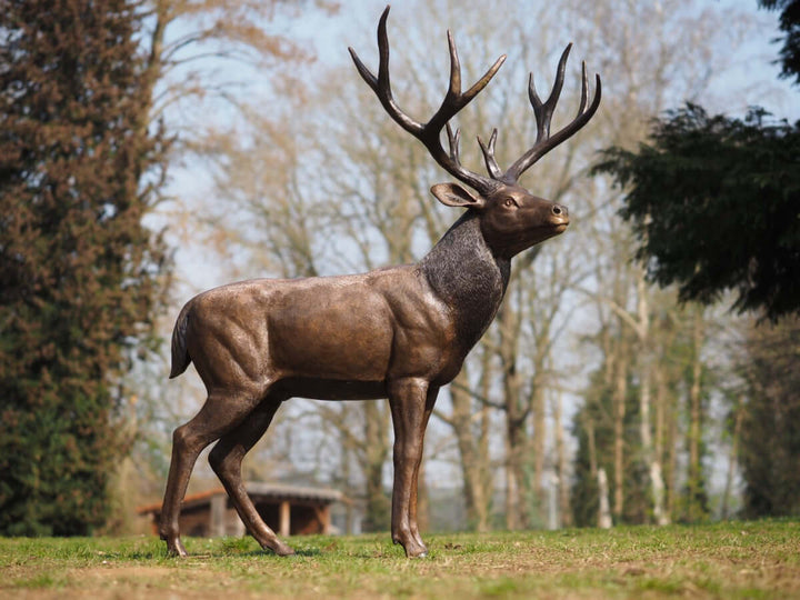 Lifesize bronze sculpture of a standing stag with large antlers, elegantly detailed for outdoor display.