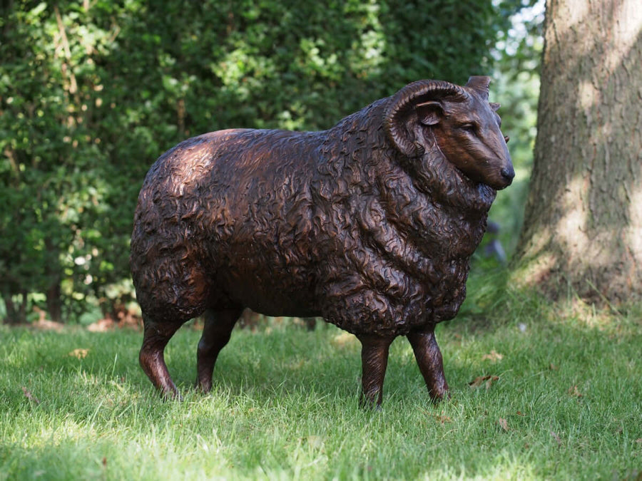 Lifesize bronze sheep sculpture with a textured wool coat, perfect for outdoor display in a garden setting.