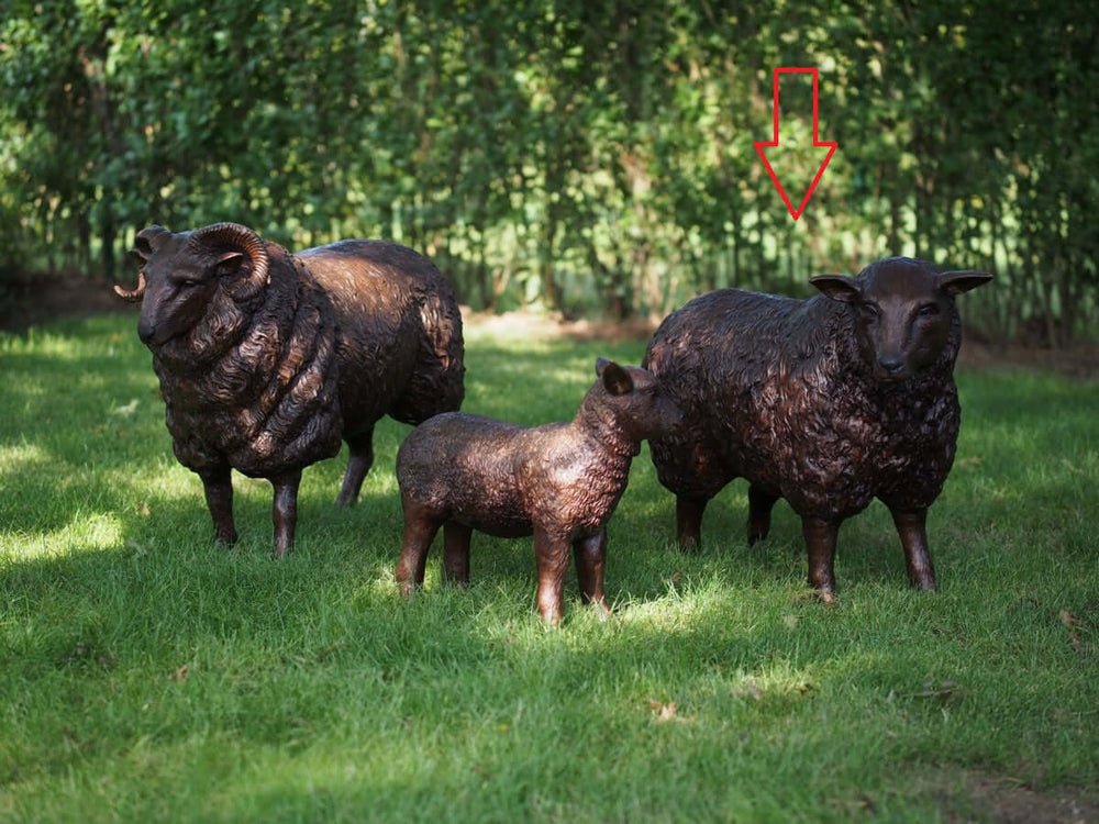 Lifesize bronze sheep sculpture trio on grass, featuring detailed bronze finish, perfect for outdoor decor.