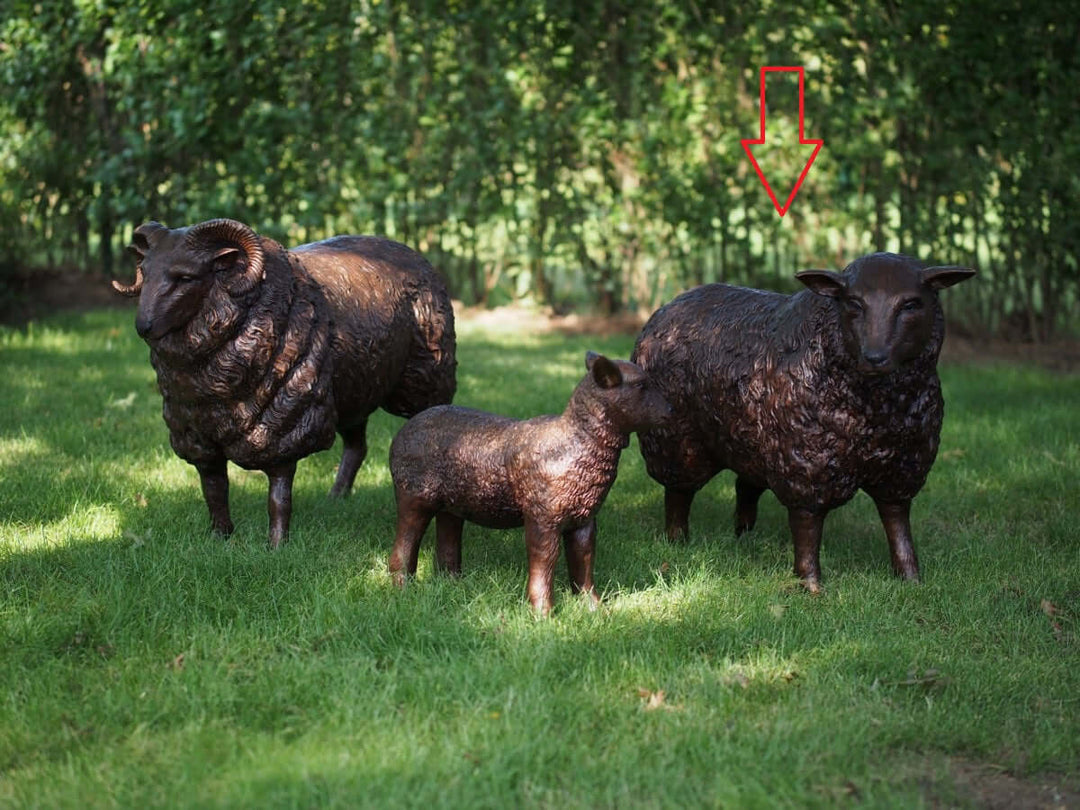 Lifesize bronze sheep sculpture trio on grass, featuring detailed bronze finish, perfect for outdoor decor.