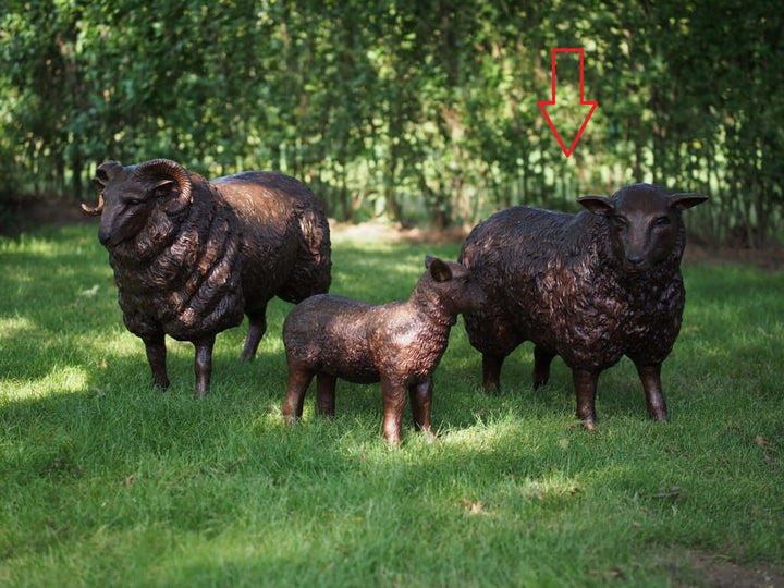Lifesize bronze sheep sculpture trio on grass, featuring detailed bronze finish, perfect for outdoor decor.
