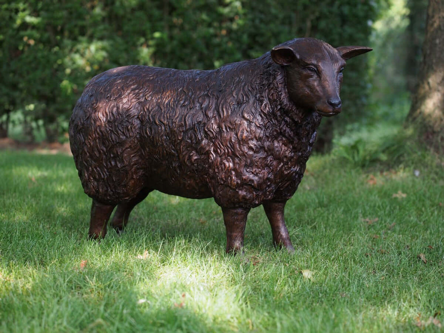 Lifesize bronze sheep sculpture with a brown patina, perfect for outdoor display in your garden.